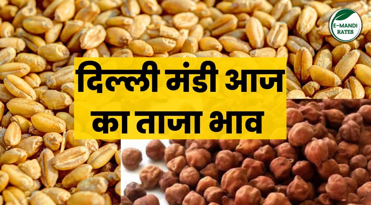Delhi Mandi Bhav