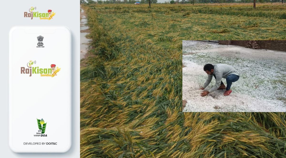 Raj Kisan Suvidha App