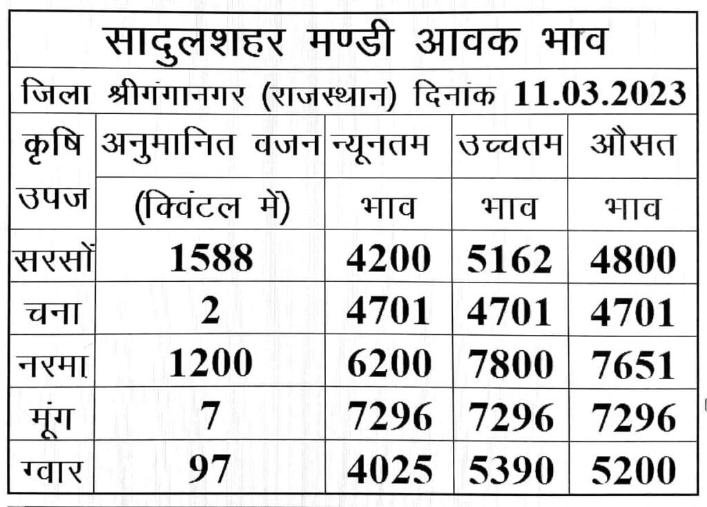 Sadulshahar Mandi Bhav 11 March 2023