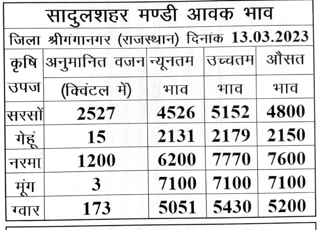 Sadulshahar mandi bhav