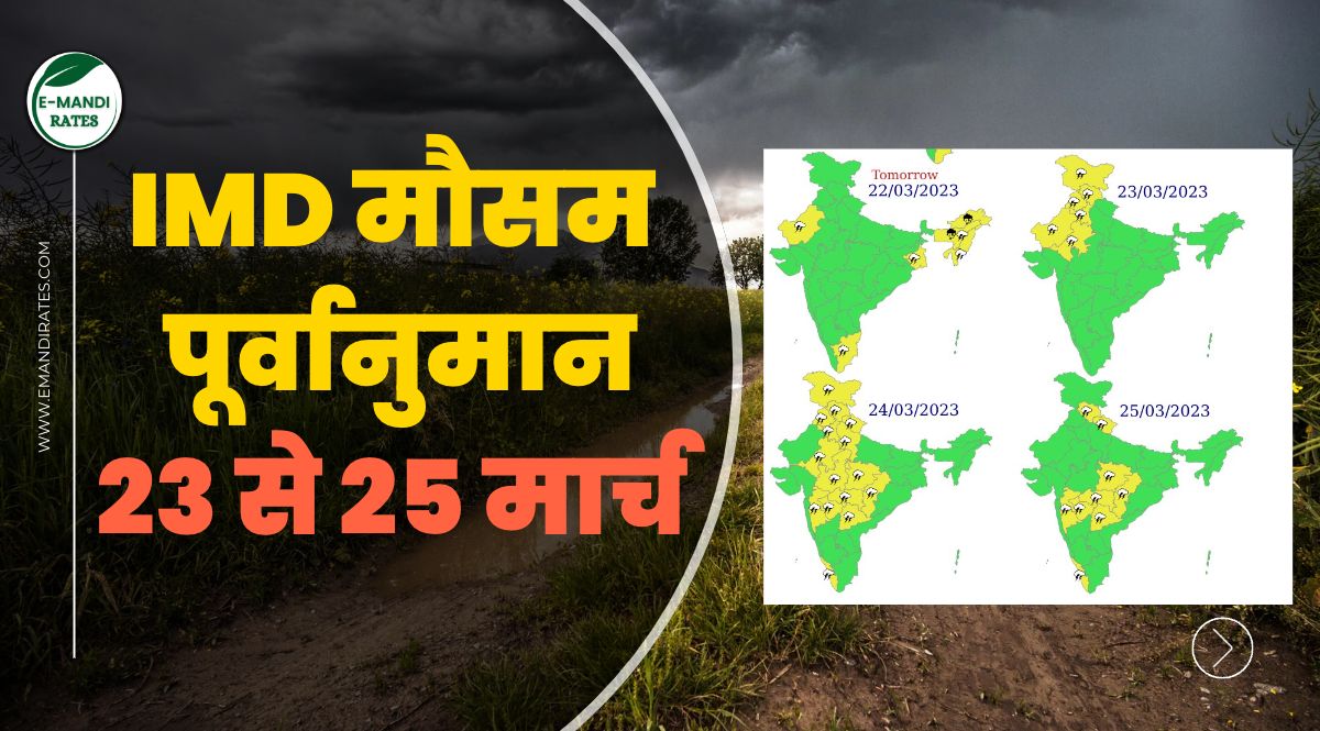Weather Forecast Alert