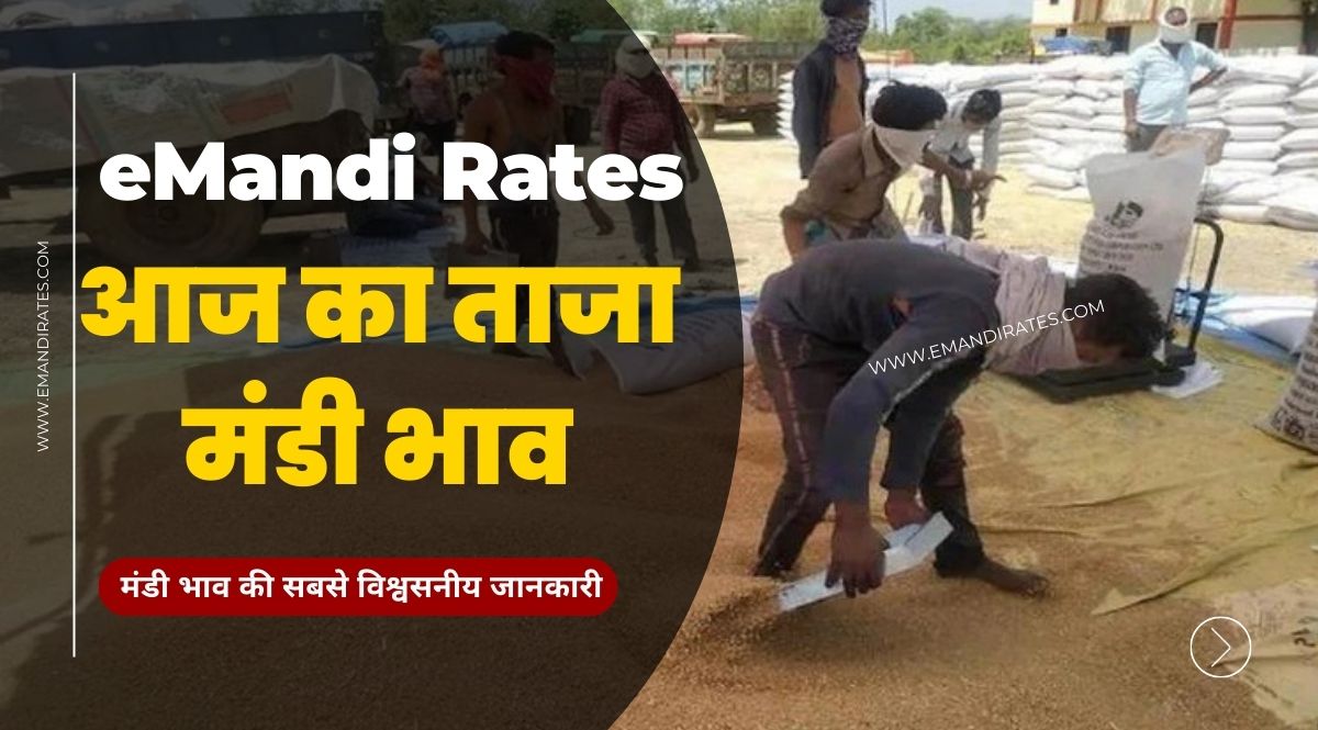 aaj ka mandi bhav