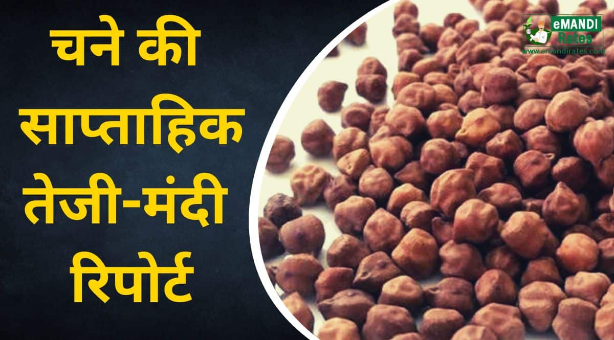 chana bhav teji mandi