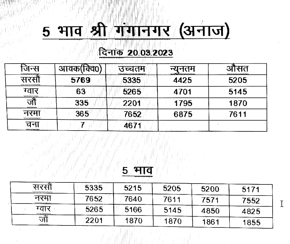 ganganagar mandi ka bhav