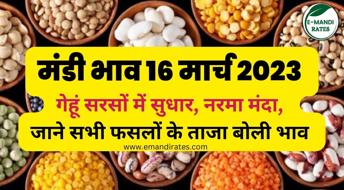 Aaj Ka Mandi Bhav Today 16 March 2023