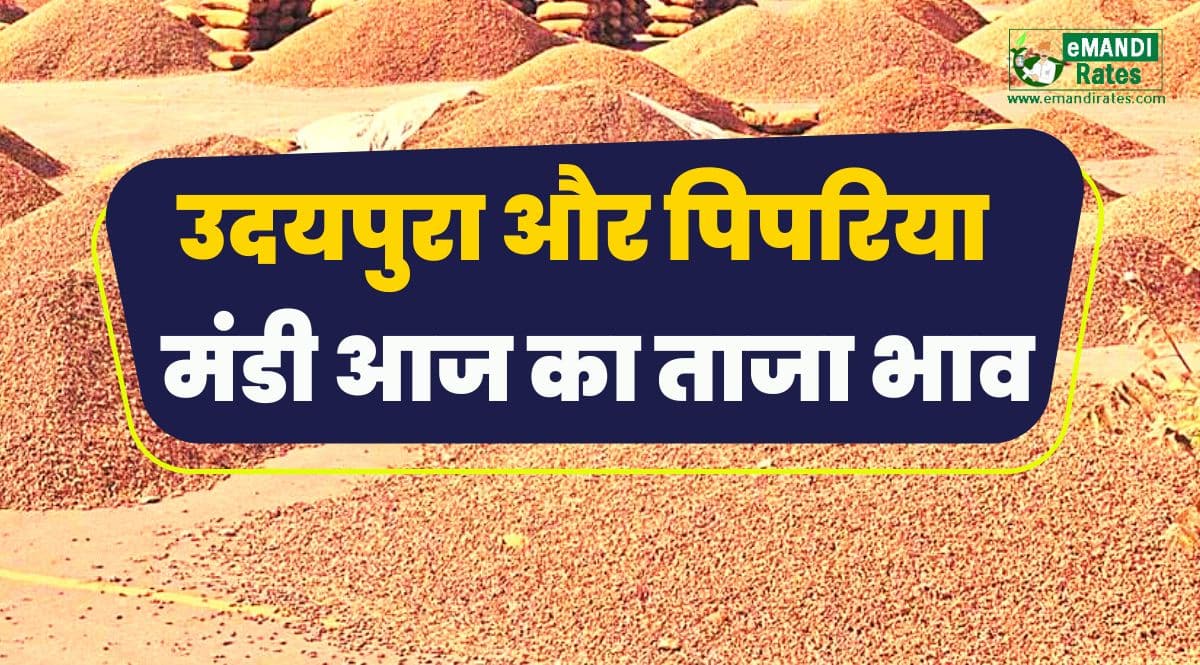 udaipura pipariya mandi bhav