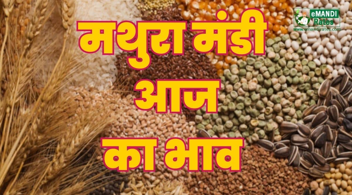 Mathura Mandi Bhav