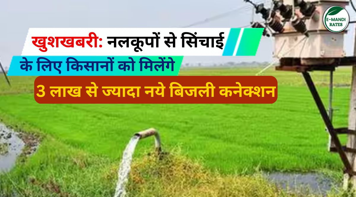 Mukhyamantri Krishi Vidyut Sambandh Yojana