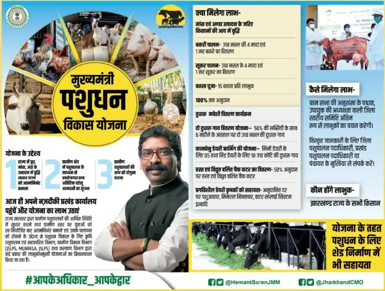 Mukhyamantri Pashudhan Vikas Yojana Jharkhand