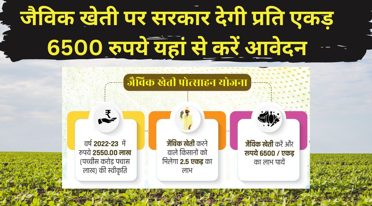 Organic Farming
