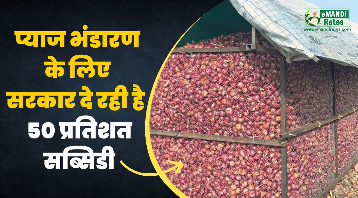 Pyaj Bhandaran Yojana