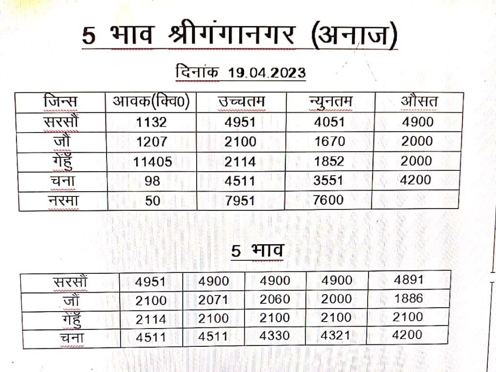 Sri Ganganagar Mandi Bhav 19 April