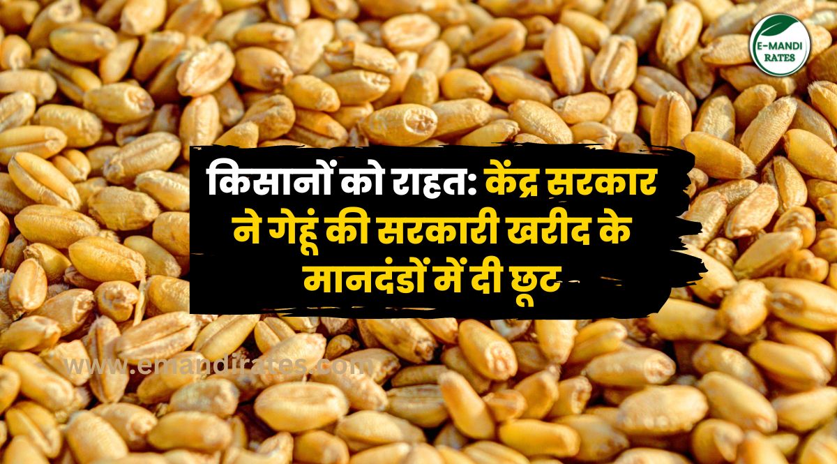 government procurement of wheat