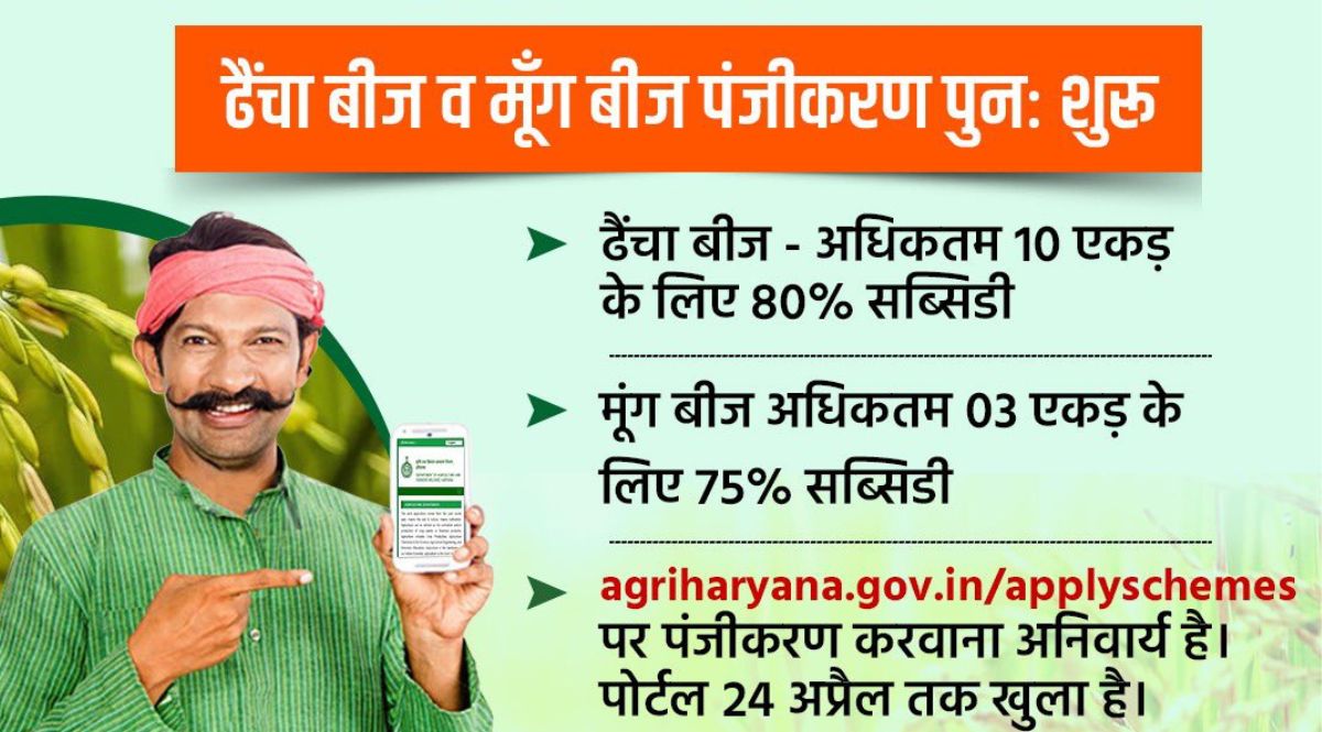 haryana government is giving subsidy between moong and dhaincha