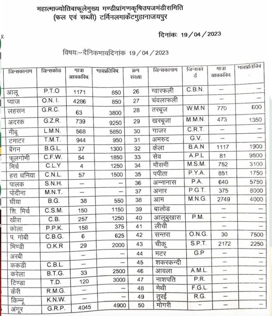 jaipur sabji mandi rate today