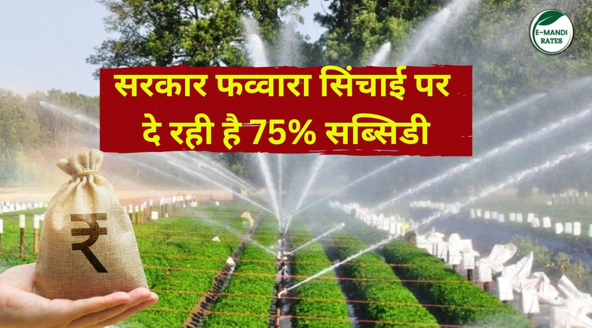 Fawara Subsidy Yojana Hanumangarh