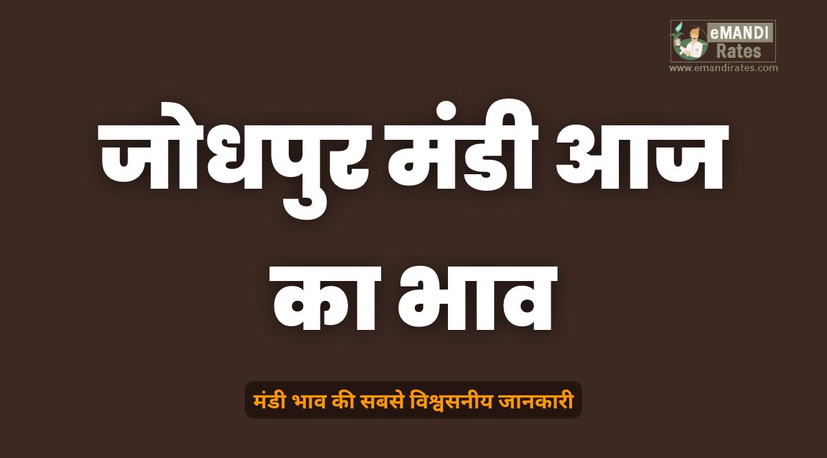 Jodhpur Mandi Aaj ka Bhav