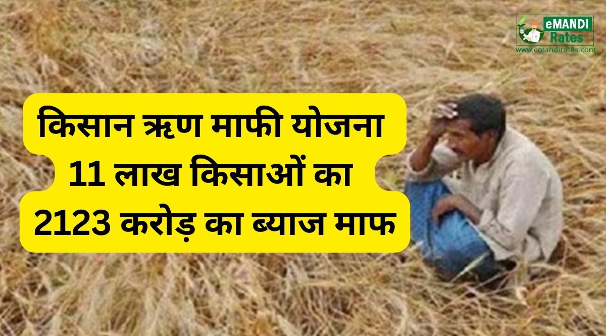 Kisan Karj Mafi