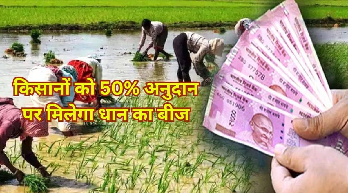 Paddy Subsidy 2023