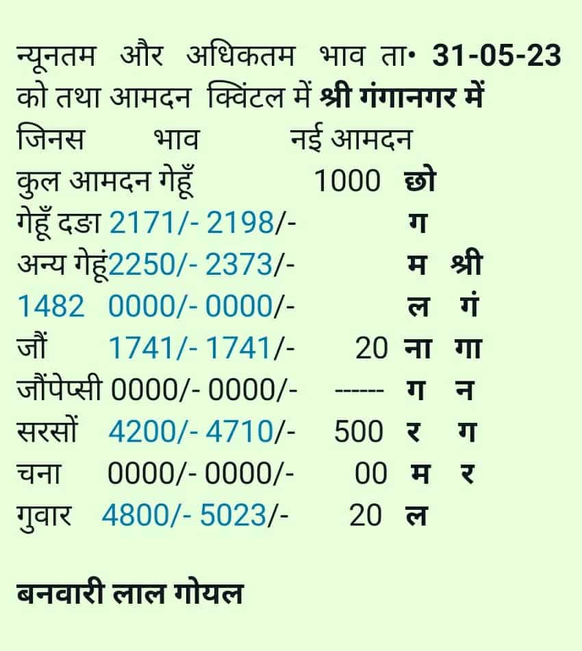 sri ganganagar mandi bhav