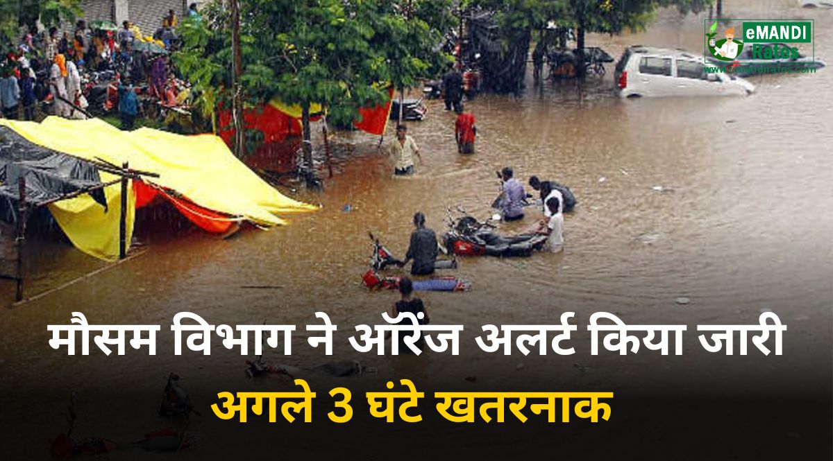 Rajasthan IMD Weather Alert Today