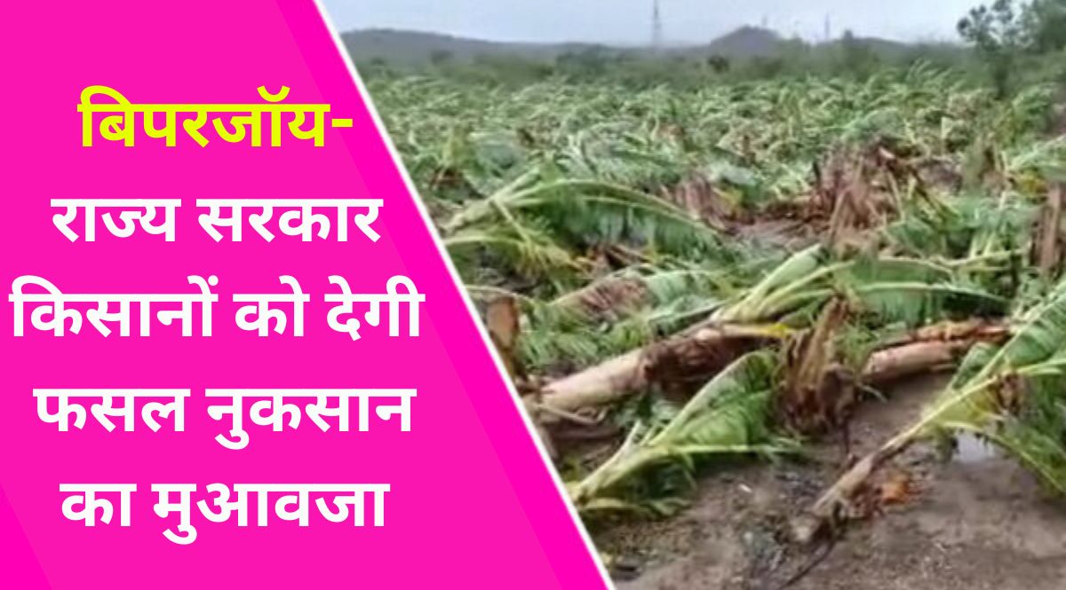 biporjoy tufan se fasal nuksan ka muawja