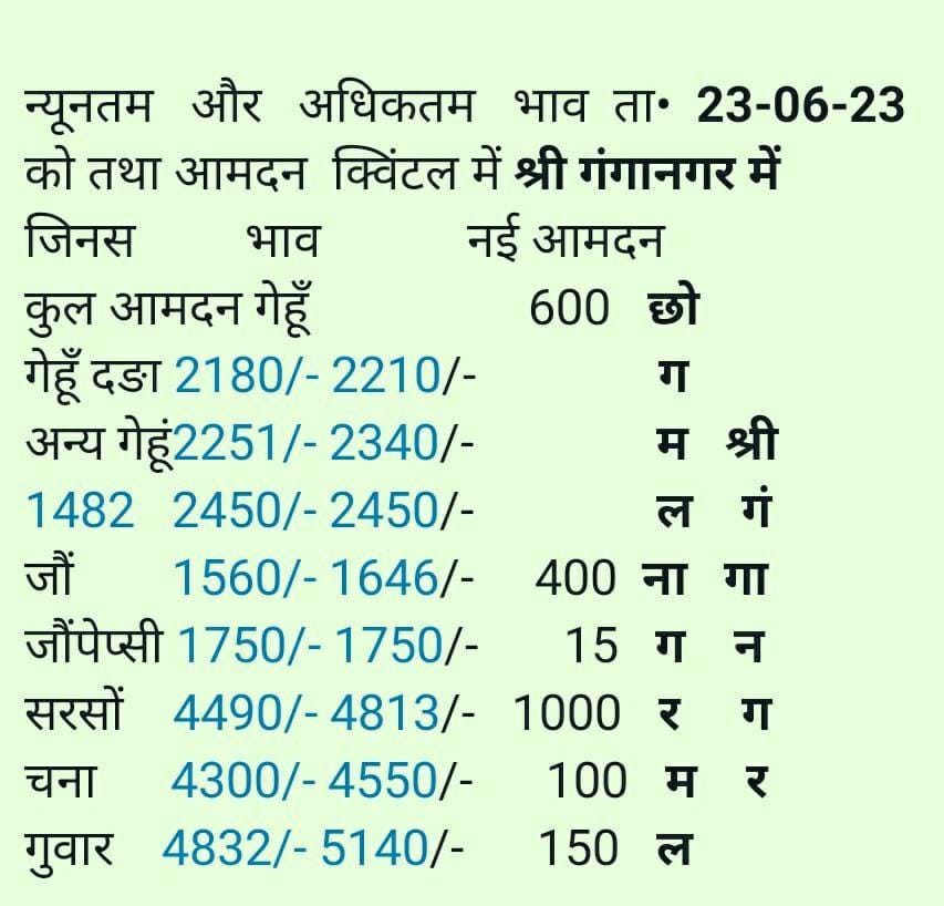 ganganagar anaj mandi bhav 23 june