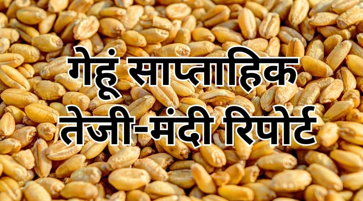 gehu saptahik teji mandi