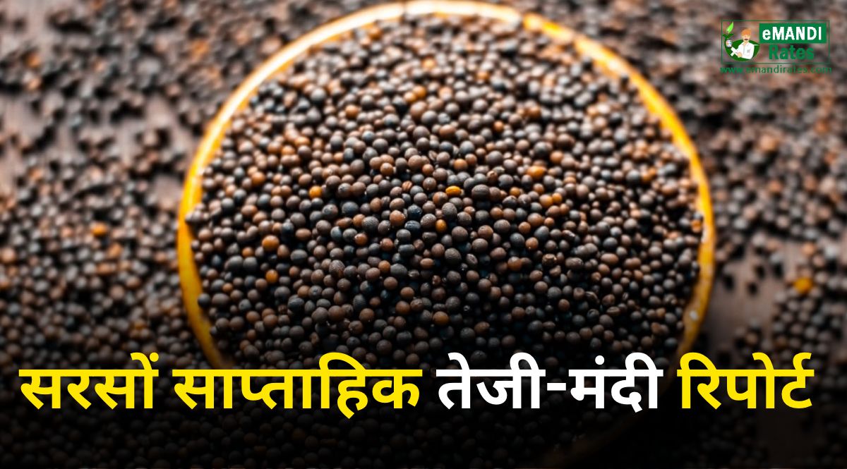 sarso weekly teji-mandi report.jpg