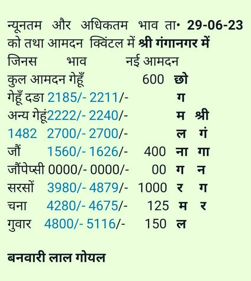 sri ganganagar mandi bhav 29 june