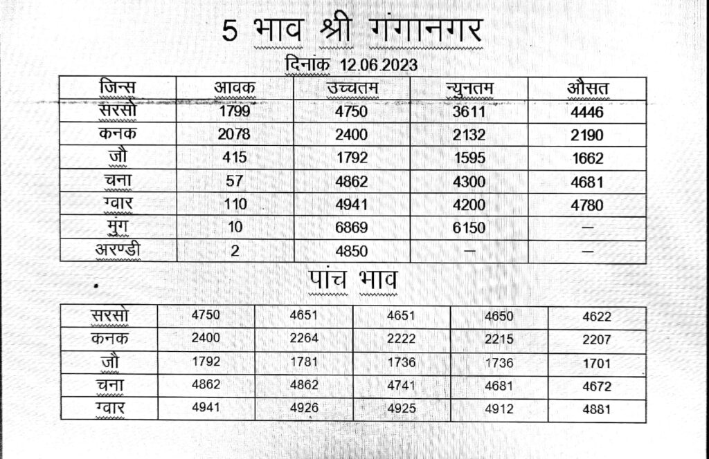 sri ganganagr mandi rate 12 june