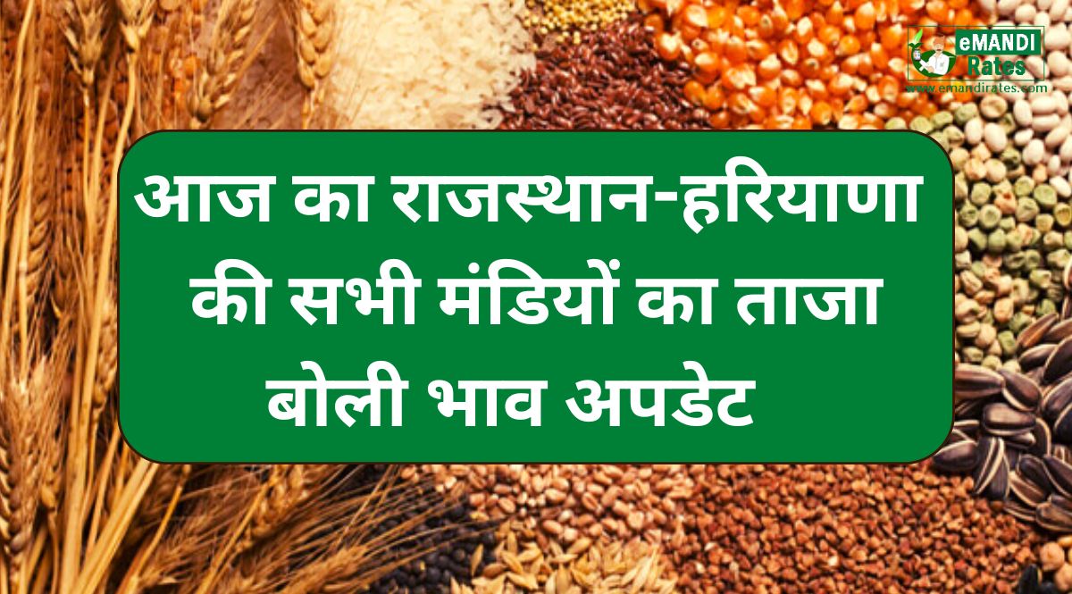Aaj Ka Mandi Bhav