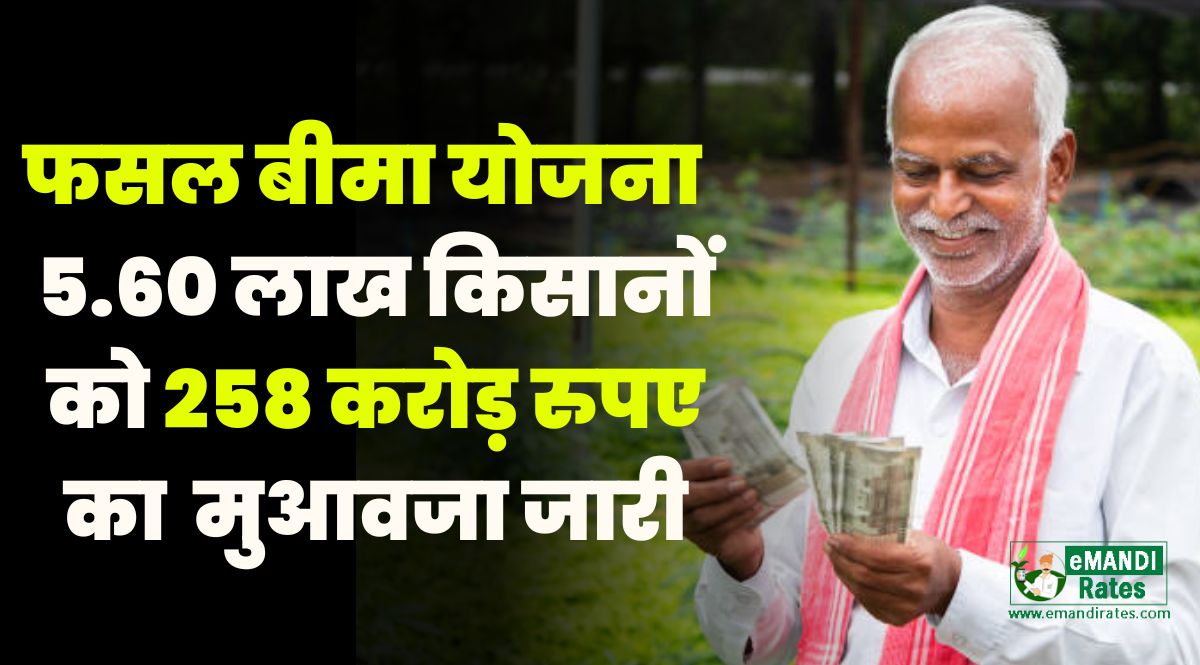 Crop Compensation 2023