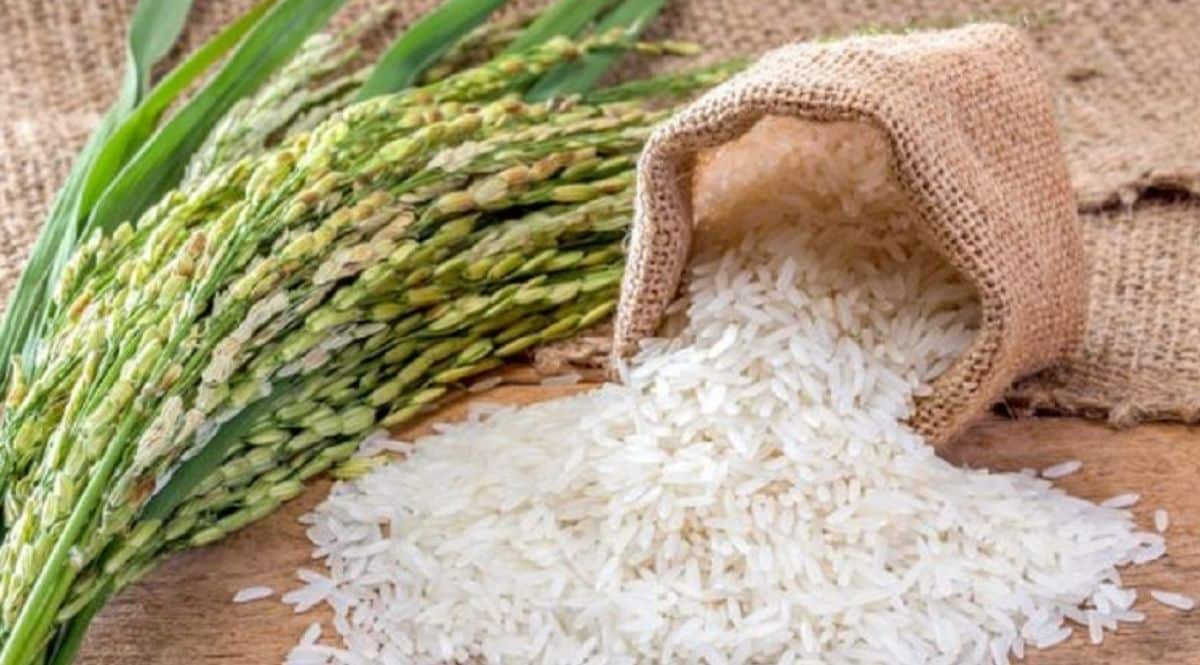 India bans export of non-basmati white rice
