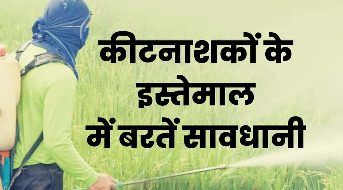 Precautions in using insecticides