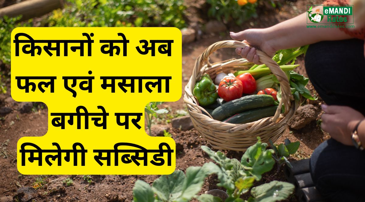 Subsidy on fruit and spice garden