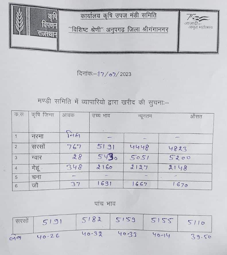 anupgarh mandi rate