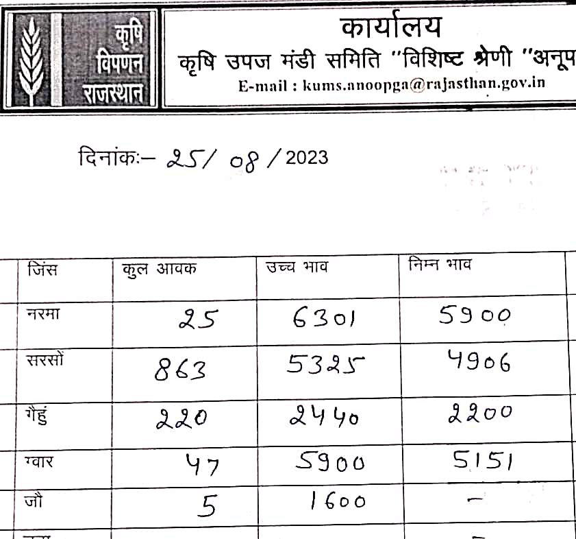 Anoopgarh mandi bhav 25 august