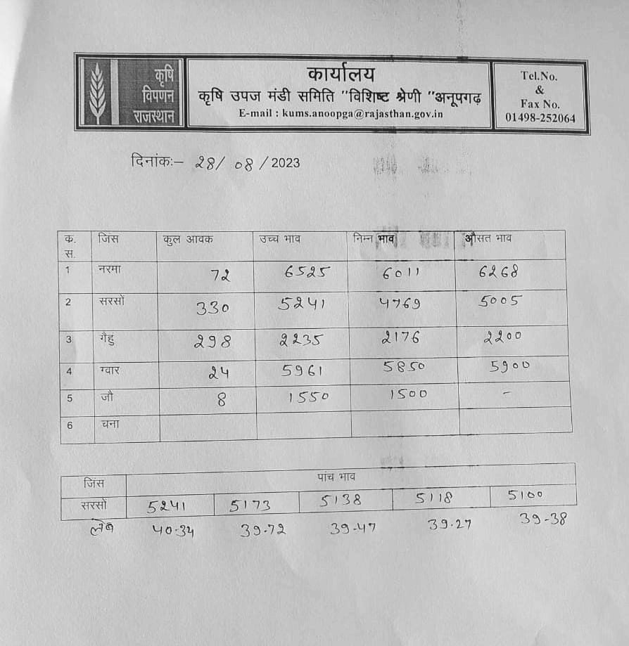 Anoopgarh mandi rates 28 august