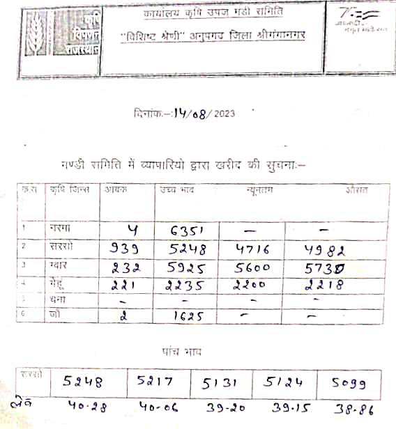 Anupgarh mandi bhav 14 august