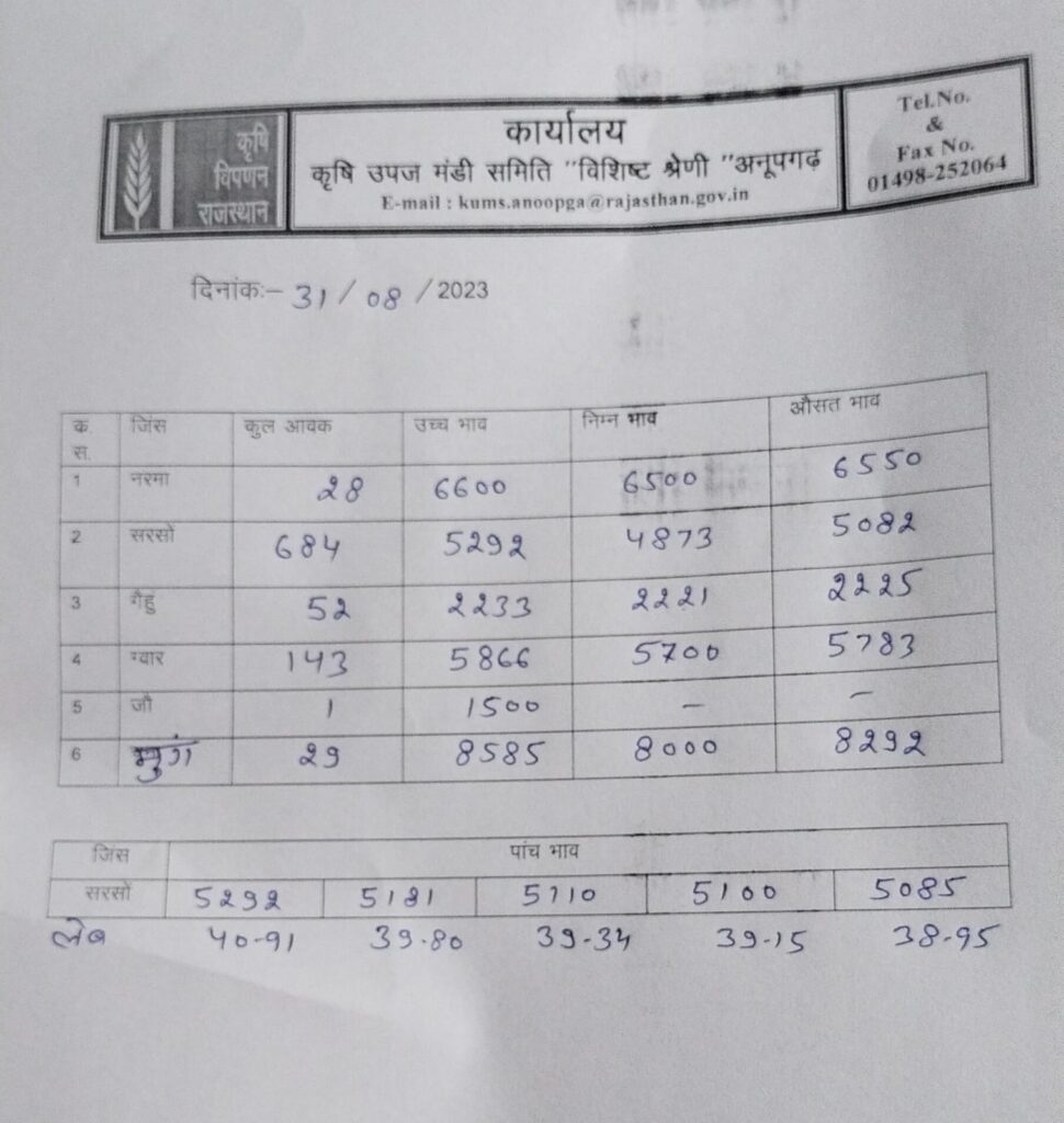 Anupgarh mandi bhav 31 august