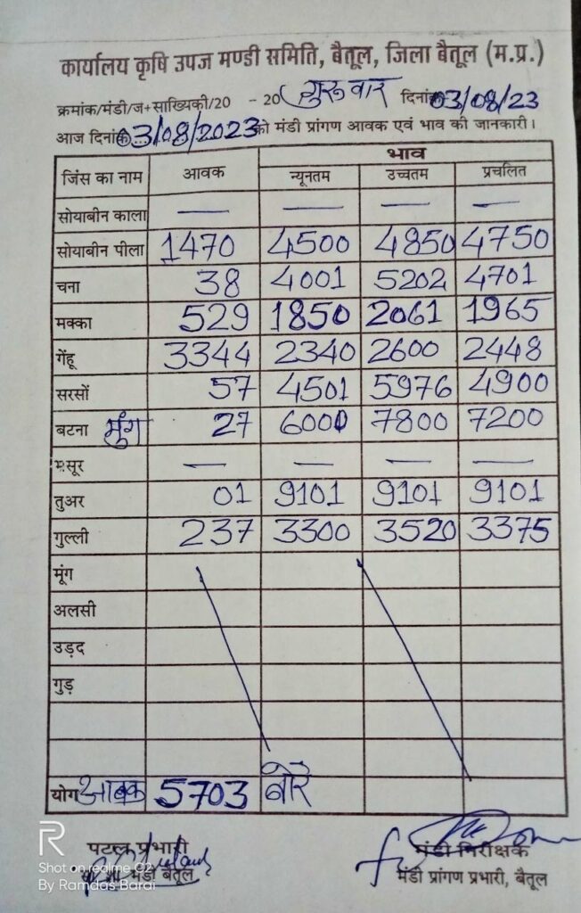 Betul Mandi Bhav 3-8-23