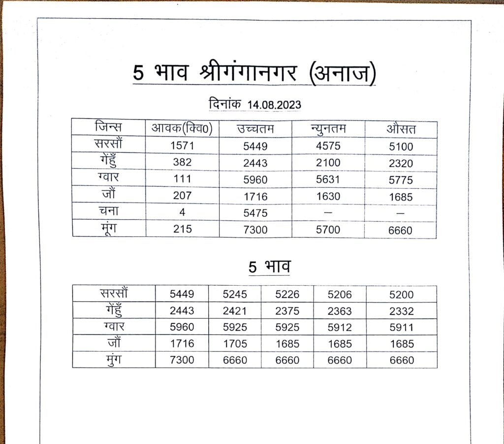 Ganganagar Mandi Rate 14 august