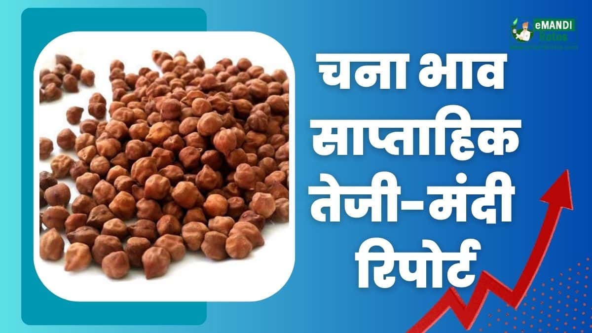 Gram Price Weekly Report