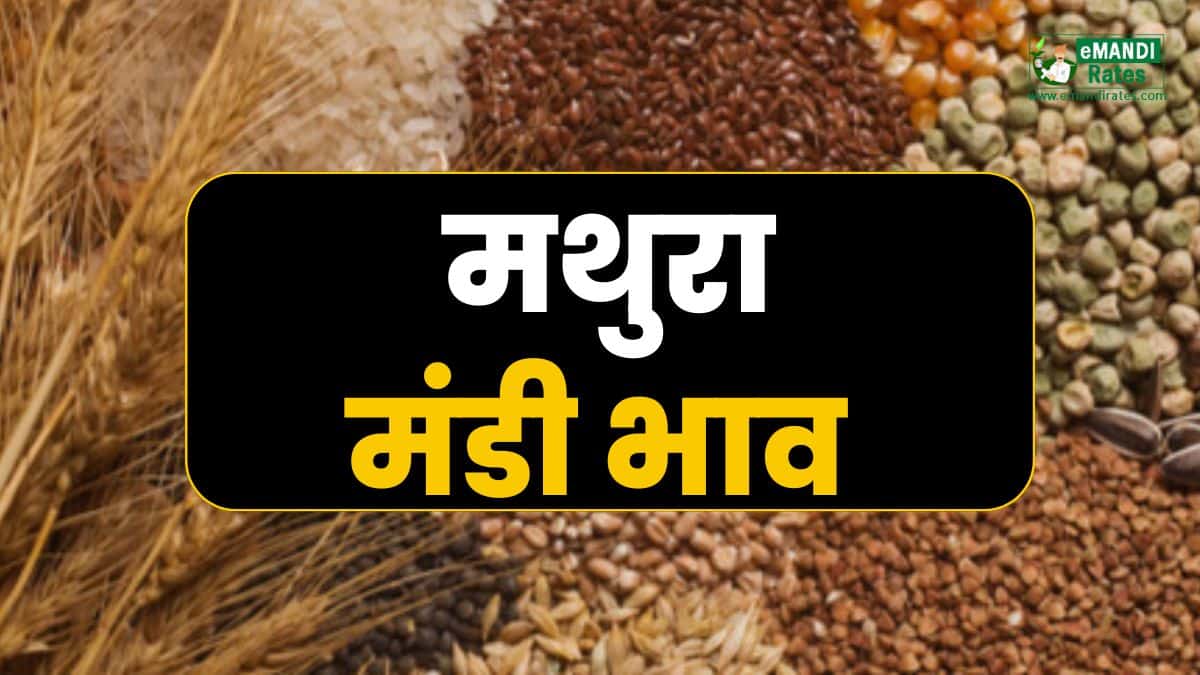 Mathura Mandi Rate