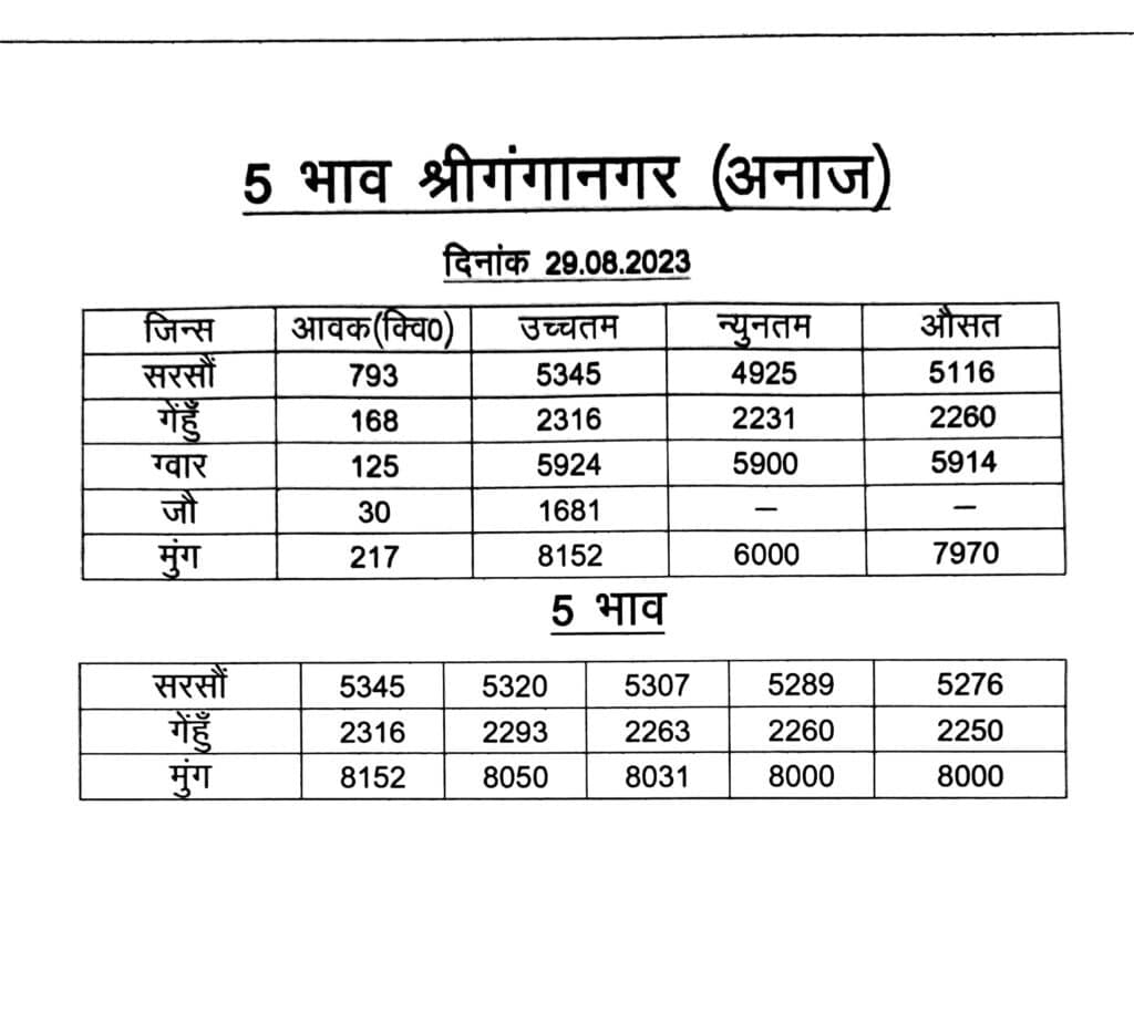 Sri Ganganagar mandi bhav