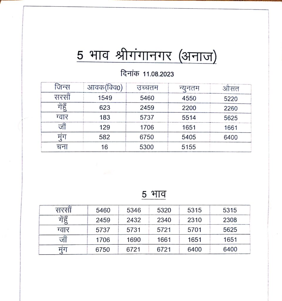 Sri Ganganagar mandi rate