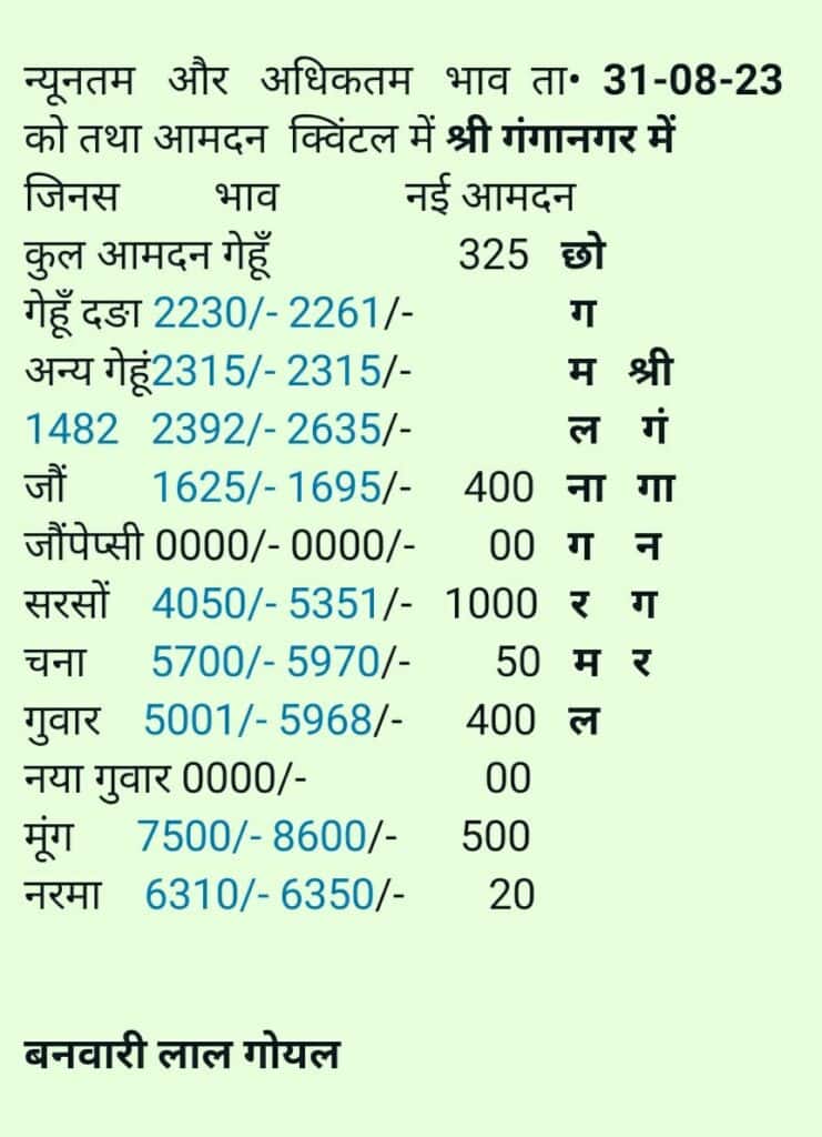 Sri Ganganagr mandi bhav 31 august