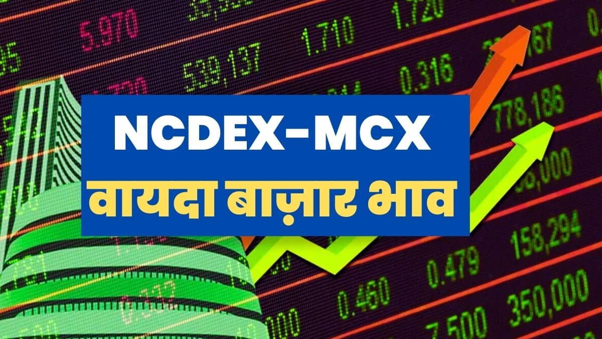 NCDEX Vayda Bazar Bhav