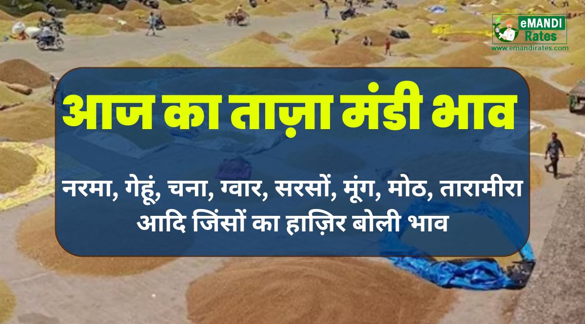 aaj ka anaj mandi bhav